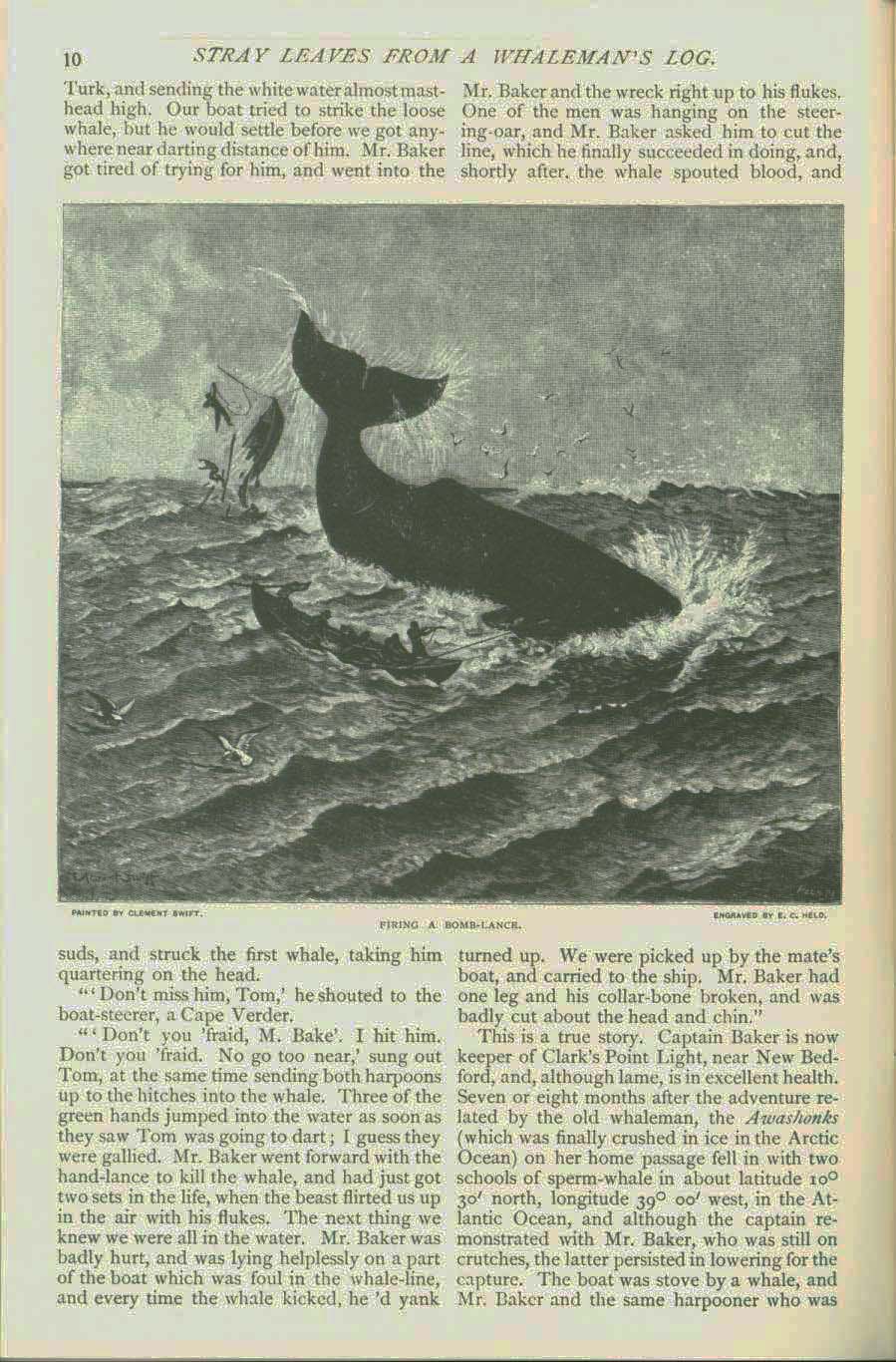 19th century whaling tales. vist0089f